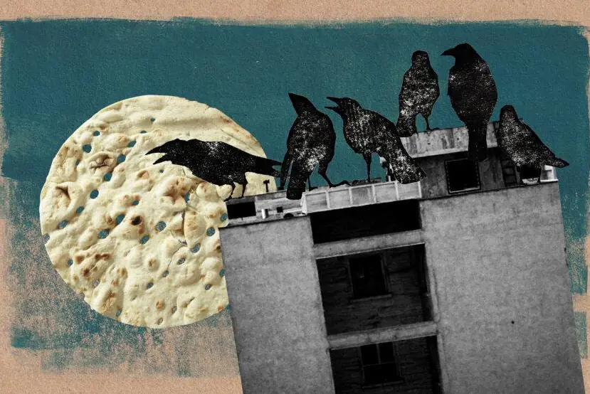 image du court-métrage Noon