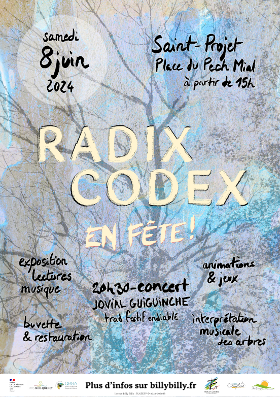 Affiche pour RADIX CODEX en fête !