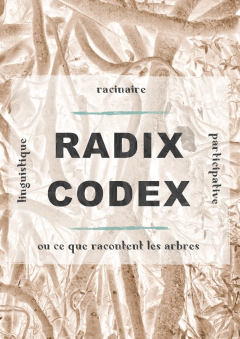 Affiche résidence de territoire radix codex