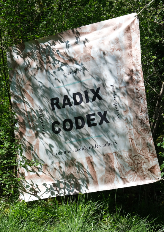Photo de la bannière Radix Codex dans un feuillage