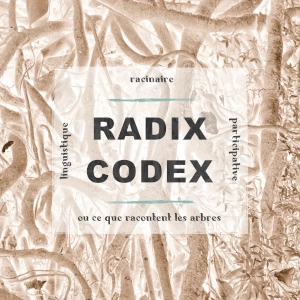 Affiche de la résidence Radix Codex